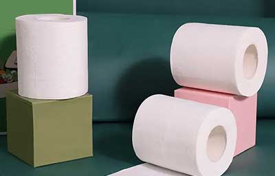 Roll Toilet Paper Application